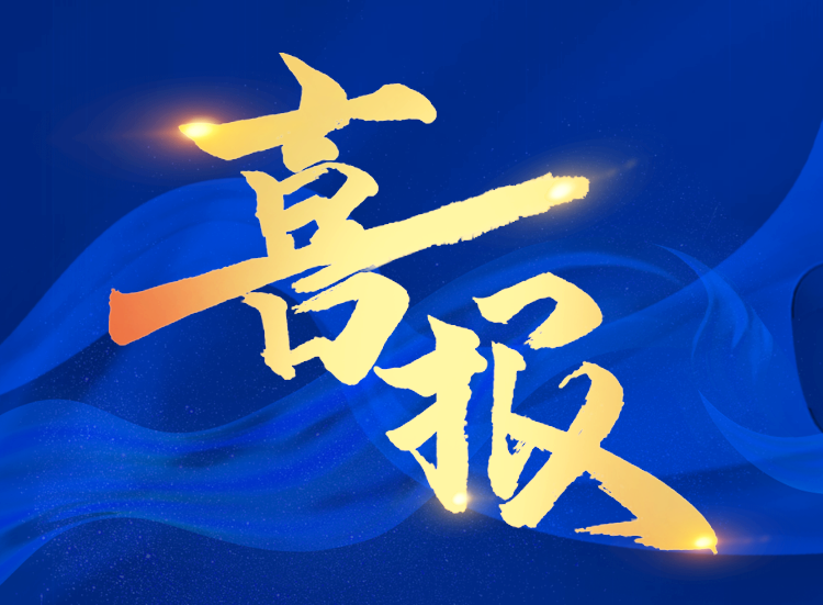 喜报｜UED官网医疗荣获国家级专精特新“小巨人”企业